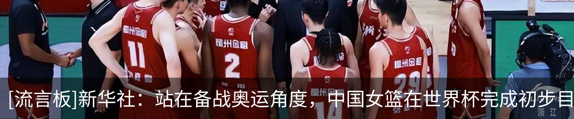 新闻动态